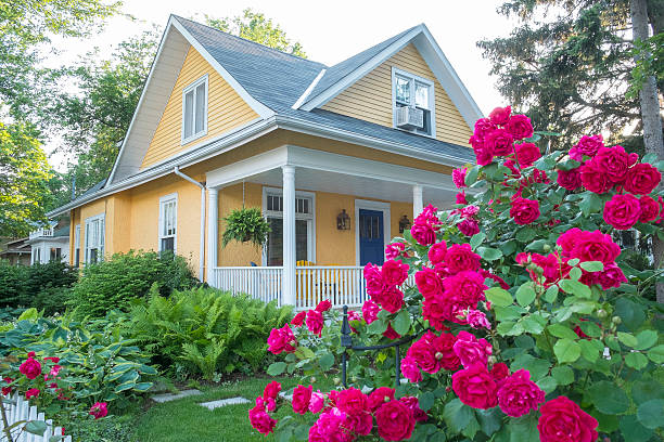Yellow house with pink flowers Pink Rose Bush in Front of a Beautiful Yellow House.  hosta photos stock pictures, royalty-free photos & images