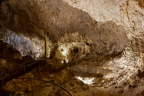 Carlsbad Caverns Limestones formations of Guadeloupe Mountains' Carlsbad Caverns. carlsbad texas stock pictures, royalty-free photos & images