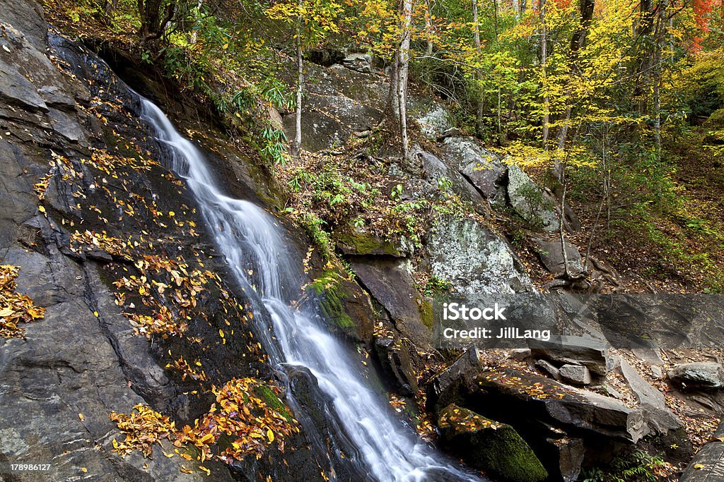 Cascade de Caroline du Nord avec feuillage d'automne - Photo de Automne libre de droits