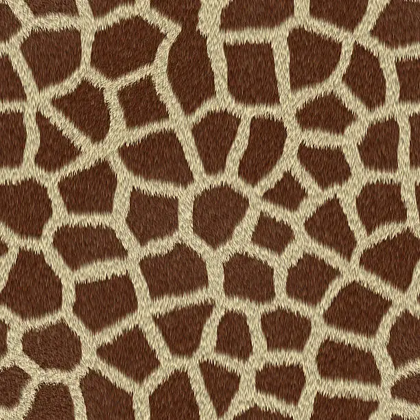 Photo of Giraffe skin print