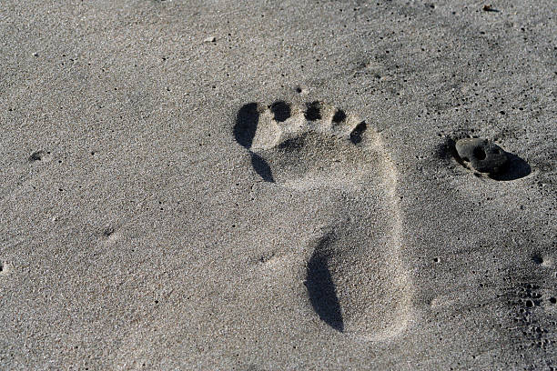 istock lone footprint on wet sand 178987776