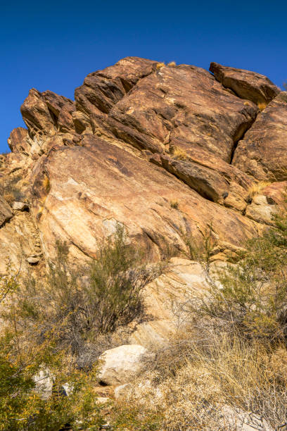 istock Palm Springs Indian Canyons 1789879443