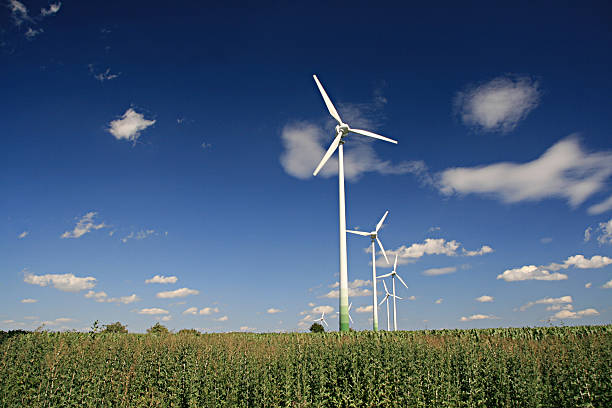 windenergie - klimaschutz - fotografias e filmes do acervo