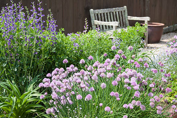 Herb Garden stock photo