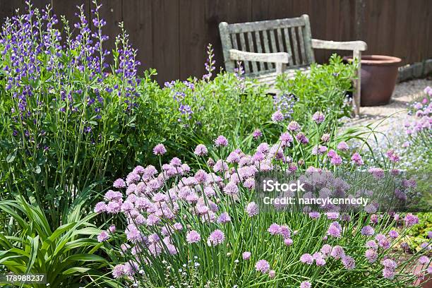 Herb Garden Stock Photo - Download Image Now - Herb Garden, Flower, Bench