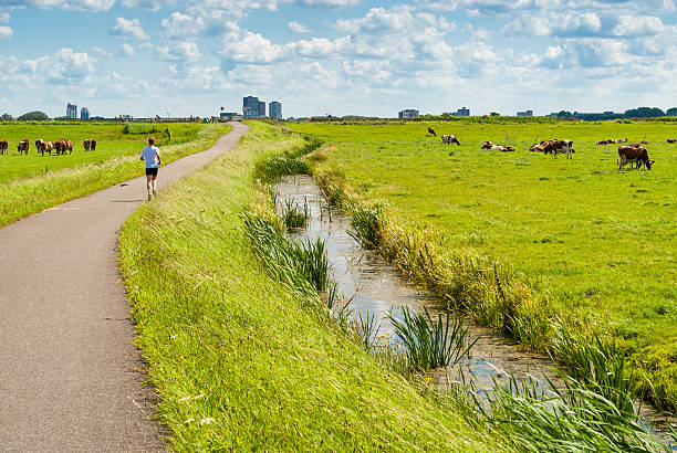 istock Jogger in a cow field 178988332