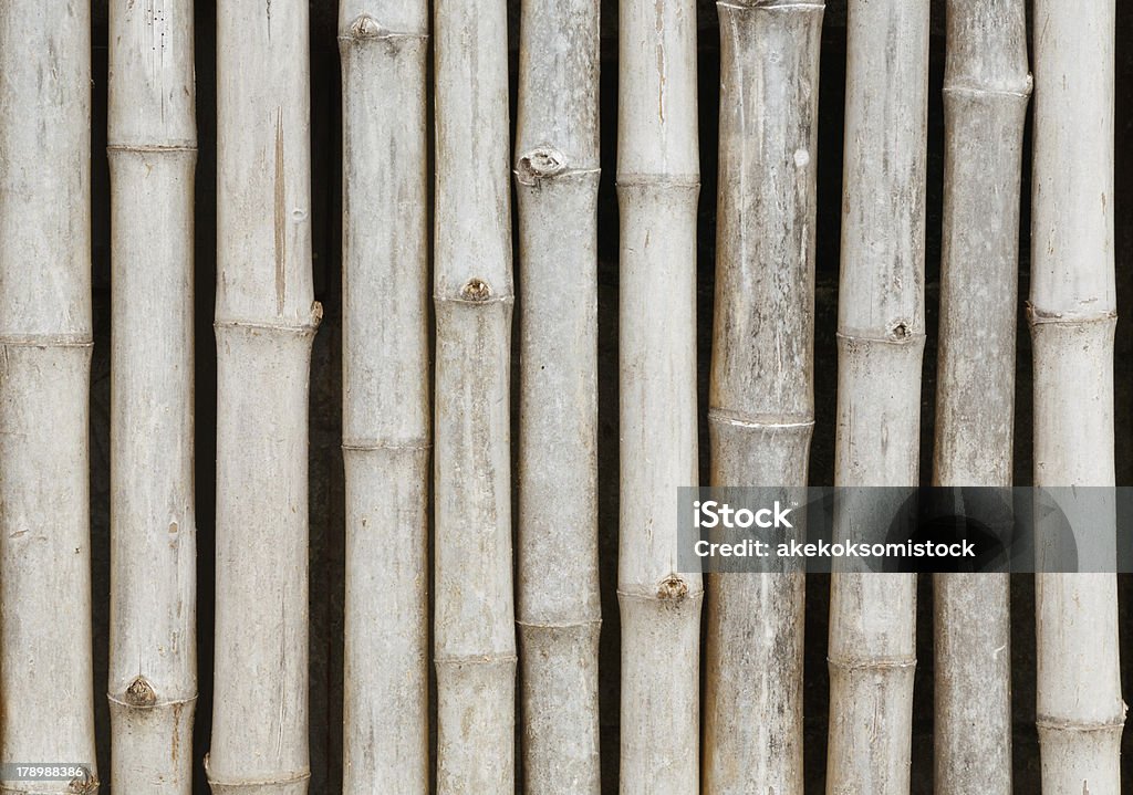 style thaïlandais de clôture bambou - Photo de Arbre libre de droits