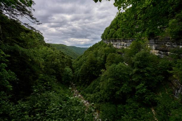 istock deep valley in the Jura surrounded by limestone cliffs and forests 1789884231