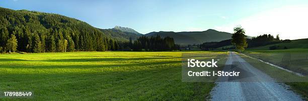 Panorama Di Strada - Fotografie stock e altre immagini di Albero - Albero, Ambientazione esterna, Autostrada