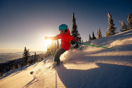 skiing on a sunny day