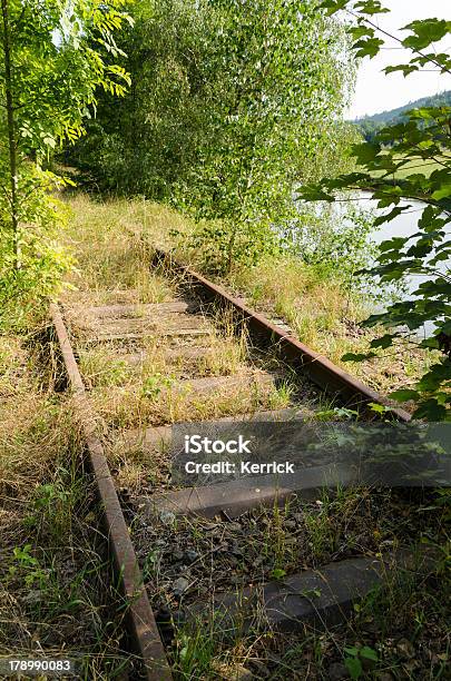 Überwachsen Railroad Tack Neben Einem Fluss Stockfoto und mehr Bilder von Alt - Alt, Bahngleis, Baum