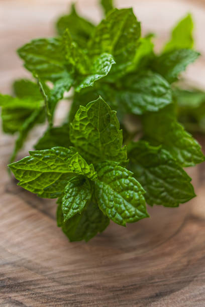 istock Fresh mint leaves on a wooden board 1789901082