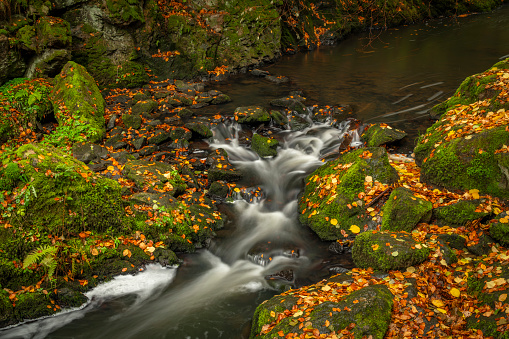 Doubrava river with color rock with moss in autumn rainy day near Bilek village