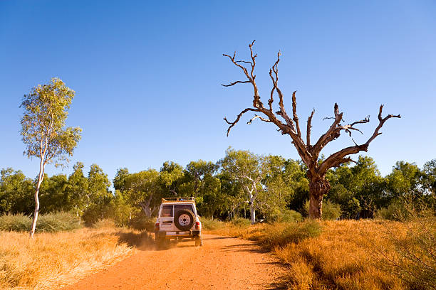 Outback Australia 4X4 Vehicle Driving on Red Gravel Road "4X4 vehicle driving on red dirt road, kicking up dust. Iconic dead gum tree at right side of track, ghost gum at left. Very Australian!  More Australia" outback stock pictures, royalty-free photos & images
