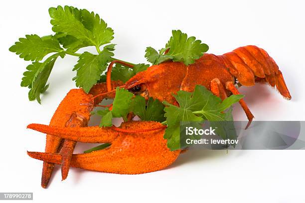Cancer 1 Stock Photo - Download Image Now - Animal, Animal Shell, Arthropod