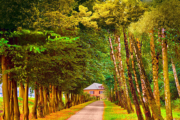 Cottage hidden in the woods