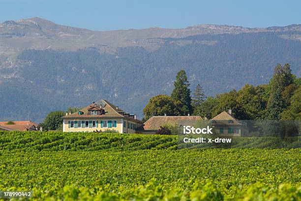 Paisagem De Vinha De Verão - Fotografias de stock e mais imagens de Savoie - Savoie, Videira, Vinha