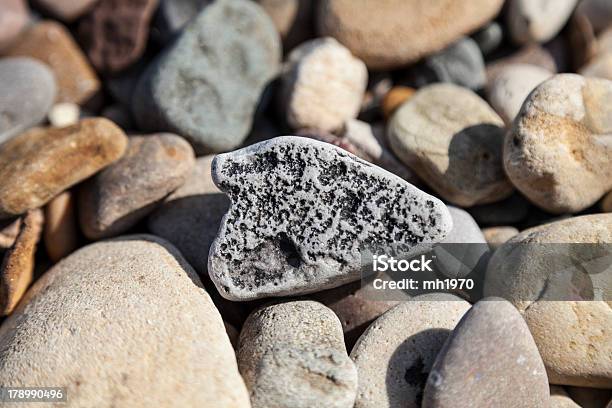 Pebble Raza Pebble On The Beach Stock Photo - Download Image Now - Beach, Gray ...