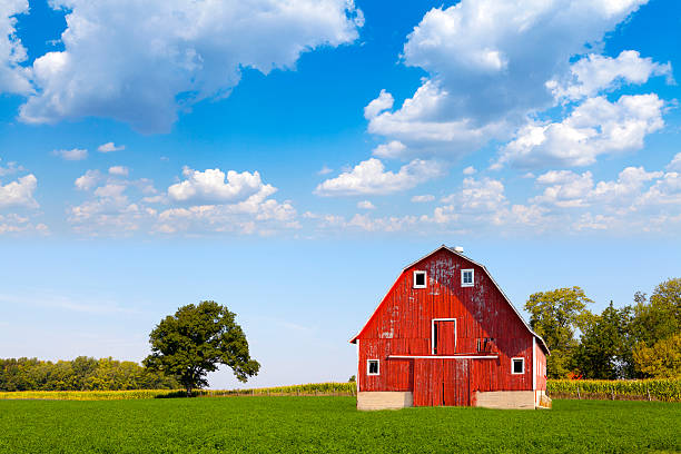 istock Traditional American Red Barn With Blue Sky 178990544
