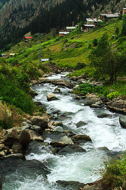 Stream with stones and old traditional houses on green Demirkapi Plateau, Kackar Mountains, Trabzon, Turkey.