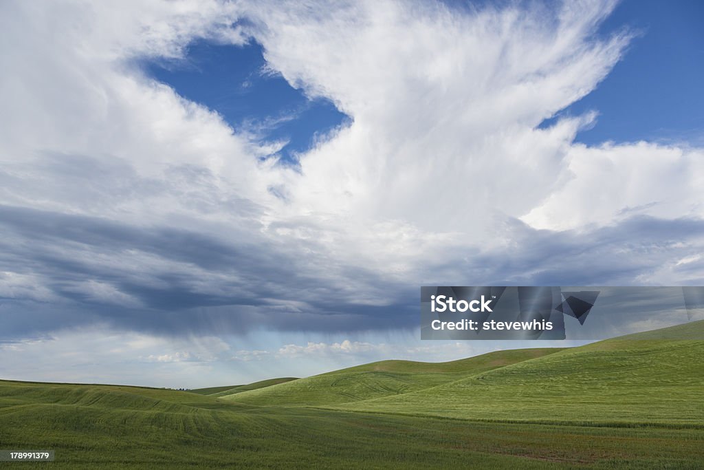 Cloud y ducha tipo lluvia en Farmland - Foto de stock de Agricultura libre de derechos