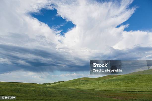 Cloud Y Ducha Tipo Lluvia En Farmland Foto de stock y más banco de imágenes de Agricultura - Agricultura, Agua descendente, Aire libre