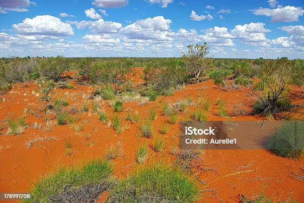 Central Australia Krajobraz - zdjęcia stockowe i więcej obrazów Alice Springs - Alice Springs, Australia, Australijski Outback