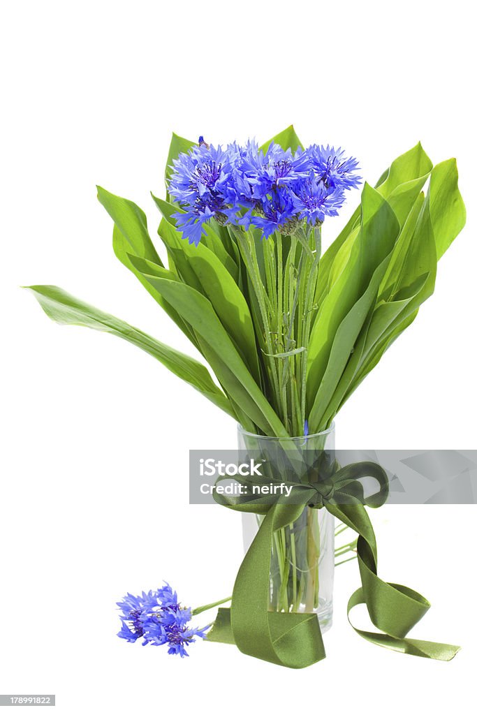 navy milho buquê de flores em vaso de - Foto de stock de Azul royalty-free