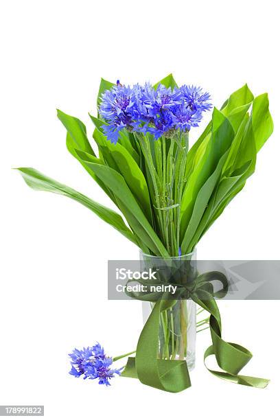 Foto de Navy Milho Buquê De Flores Em Vaso De e mais fotos de stock de Azul - Azul, Azul escuro, Beleza natural - Natureza