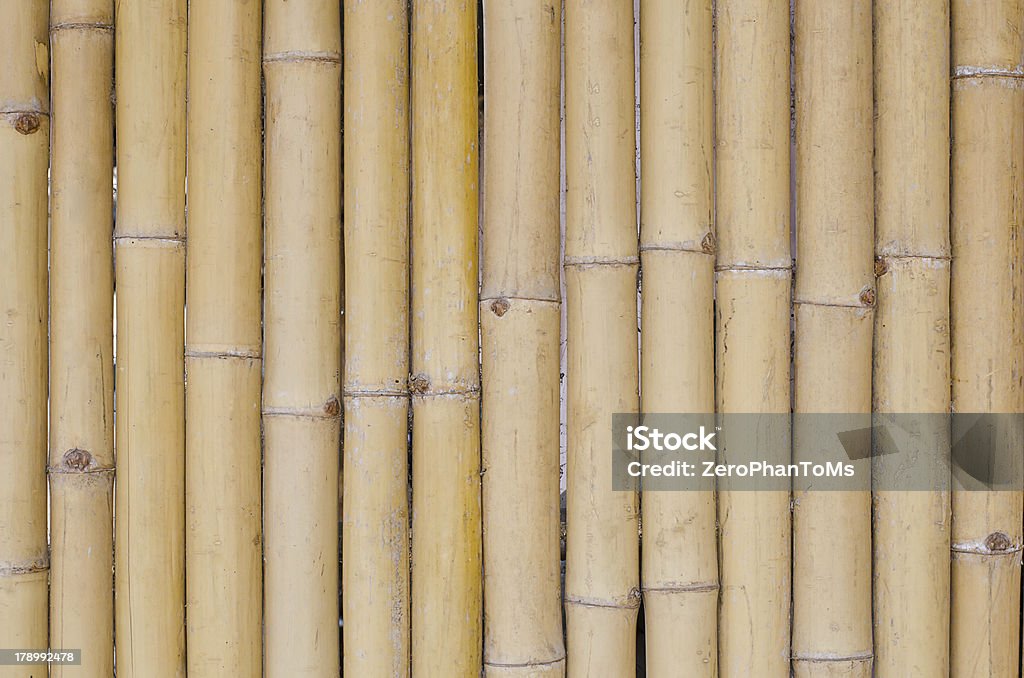 Bambu muro de fundo. - Foto de stock de Amarelo royalty-free