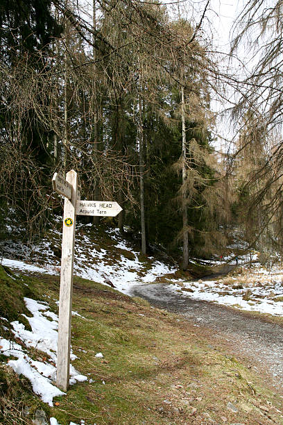 istock Signpost in the woods. 178992956