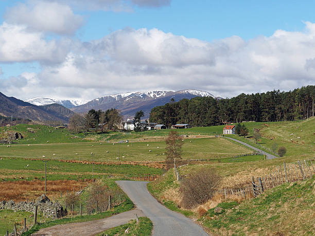 Spey valley, al oeste de Laggan, Escocia en resorte - foto de stock