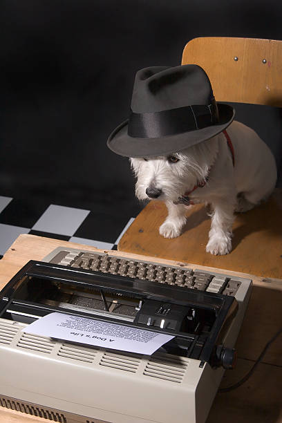 犬の寿命 - typewriter writing journalist typing ストックフォトと画像