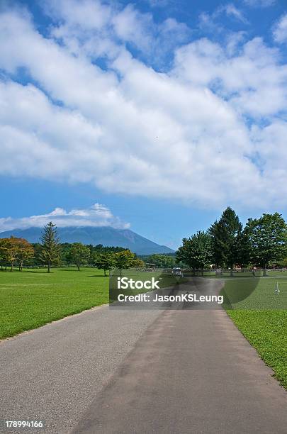 Paisaje Foto de stock y más banco de imágenes de Agricultura - Agricultura, Aire libre, Asfalto