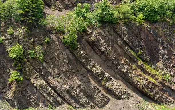 Photo of Detail of Sideling Hill road cut for I68 interstate near Hancock