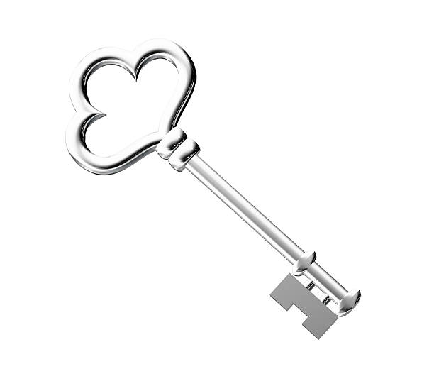 istock The Platinum key isolated on white background 178994569