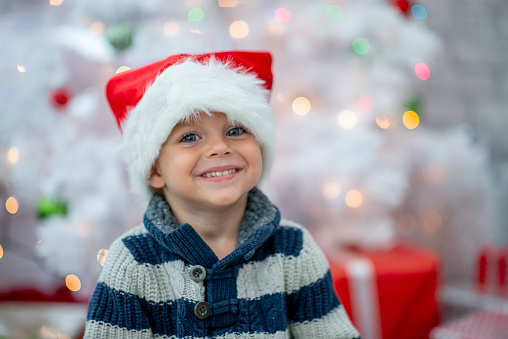 A sweet little boy sits in front of the Christmas tree as she poses for a portrait.  He is wearing a Santa hat and has a joyful smile on his face.