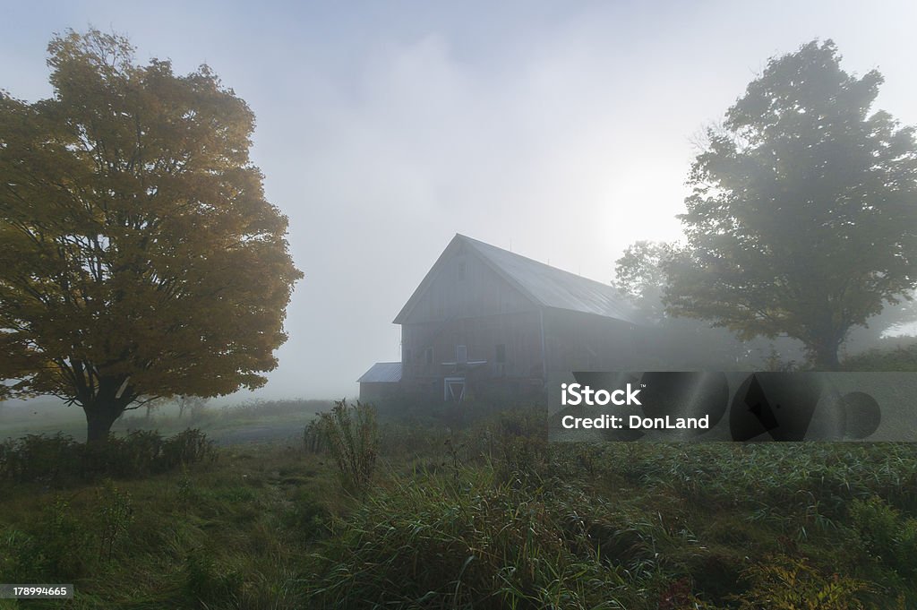 Old barn dans le brouillard, tôt le matin. - Photo de Arbre libre de droits