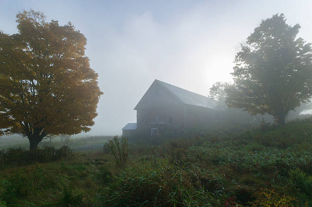 istock Old barn on a foggy early morning. 178994665