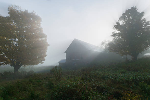istock Old barn on a foggy early morning. 178994670