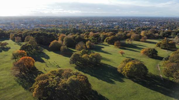 istock Richmond Park Town skyline 1789952846