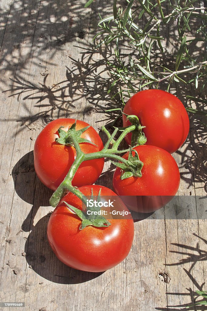 グループに囲まれたローズマリー Tomatos - オーガニックのロイヤリティフリーストックフォト