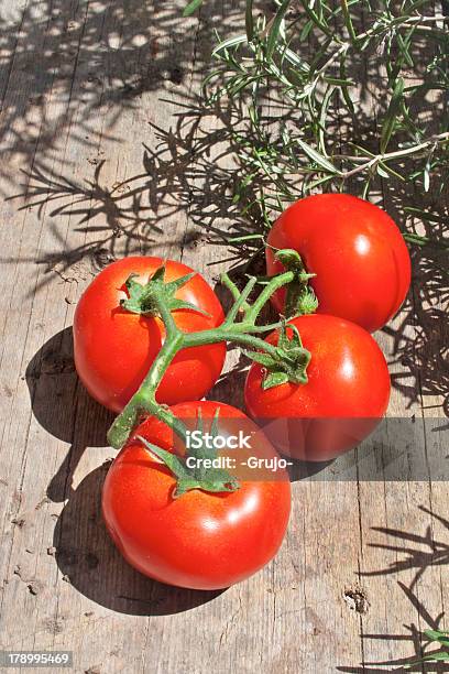 Grupa Tomatos Otoczony Rozmaryn - zdjęcia stockowe i więcej obrazów Bez ludzi - Bez ludzi, Czerwony, Drewno - Tworzywo