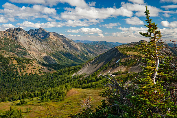 hart's pass, washington - north cascades national park washington state northern cascade range mountain pass stock-fotos und bilder