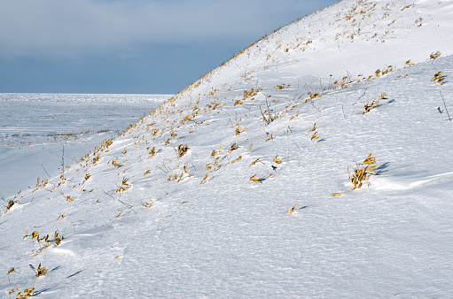 Abstract view of winter snow hill by the sea with yellow dry grass under bright sunlight. Sea under a layer of ice and snow
