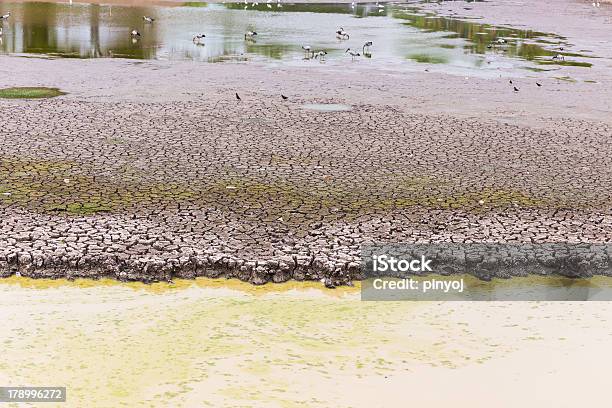 Suszone Ziemi Z Powodu Deszczu Spadały Dawki - zdjęcia stockowe i więcej obrazów Abstrakcja - Abstrakcja, Erodowany, Fotografika