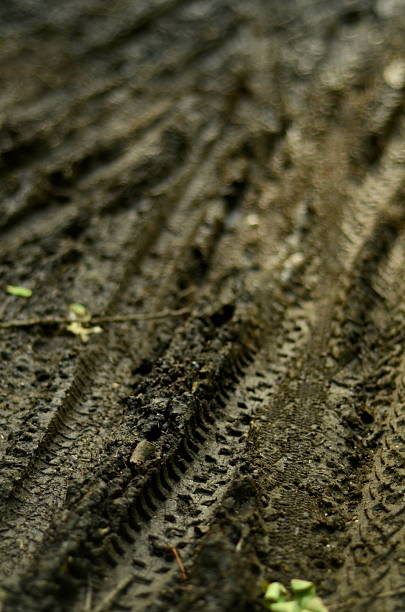 Tire tracks in mud