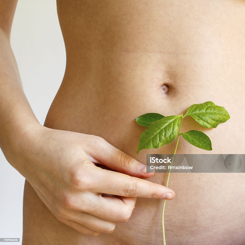 Close-up of woman's torso lampiños con verde de la planta - Foto de stock de Abdomen libre de derechos