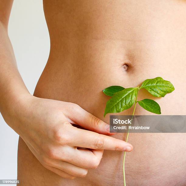 Photo libre de droit de Gros Plan De Femme Avec Torse Nu Plante Verte banque d'images et plus d'images libres de droit de Abdomen - Abdomen, Nature, Flore