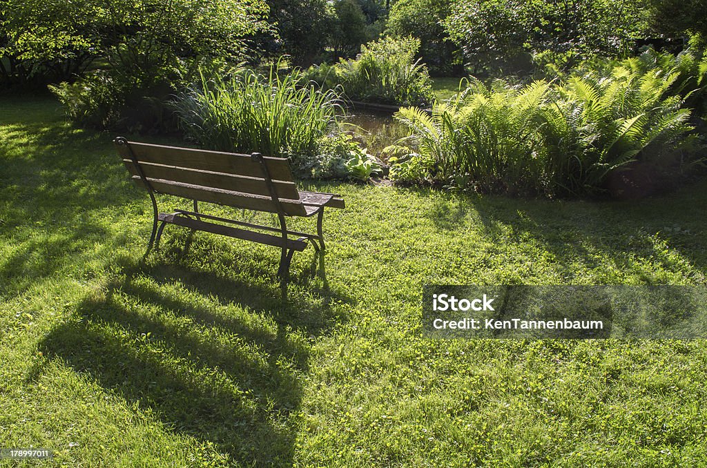 Banco de madera con follaje - Foto de stock de Aire libre libre de derechos